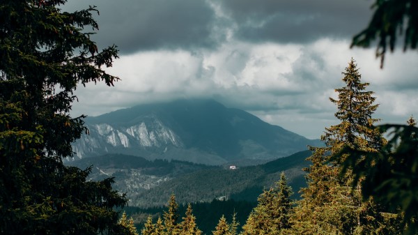 Mountains Peaks Spruce Wallpaper