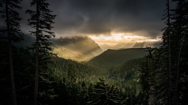 Mountains Rays Forest Wallpaper