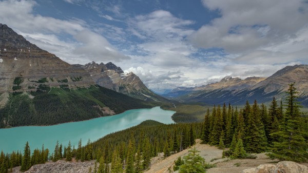 Mountains River Spruce Wallpaper