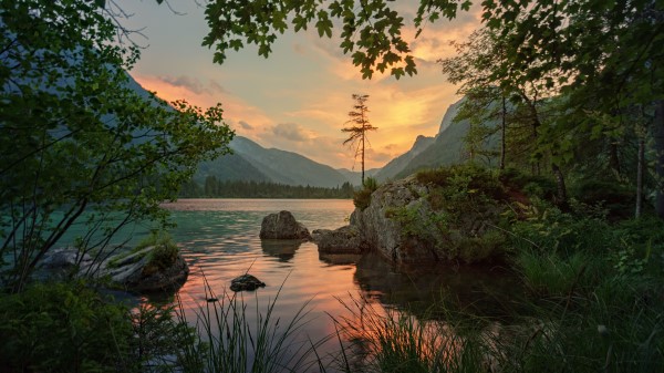 Mountains River Trees Stones Wallpaper