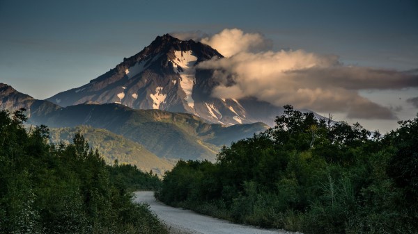 Mountains Road Bushes Wallpaper