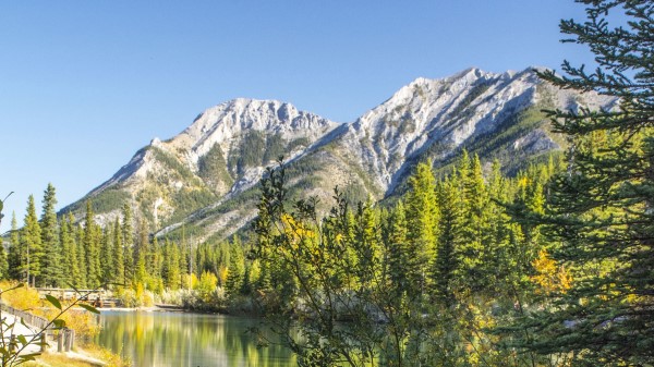 Mountains Rocks Branches Image Wallpaper