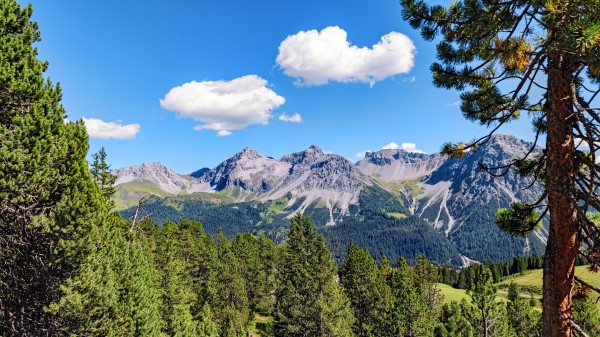 Mountains Rocks Branches Wallpaper