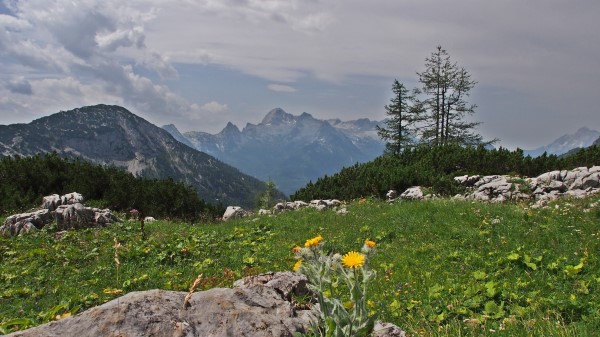 Mountains Rocks Trees Landscape wallpaper