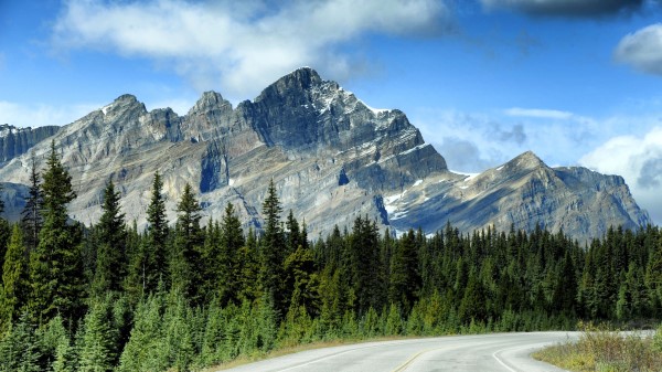 Mountains Rocks Trees Picture Wallpaper