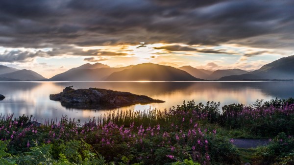 Mountains Sea Flowers Wallpaper