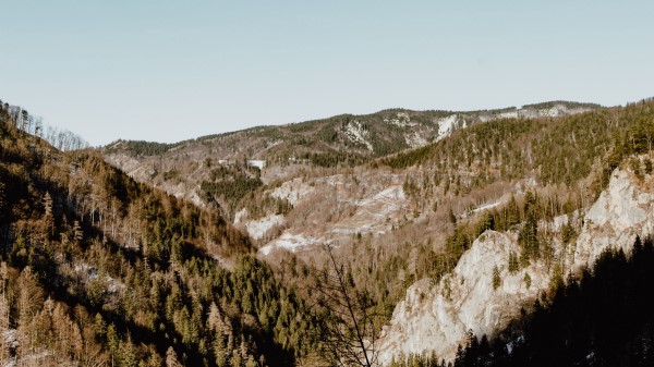Mountains Slopes Trees Wallpaper