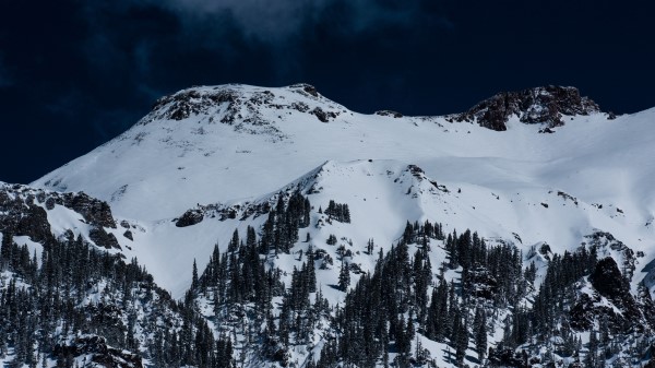 Mountains Snow Trees Top Wallpaper