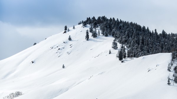 Mountains Snow Winter Trees Top Wallpaper