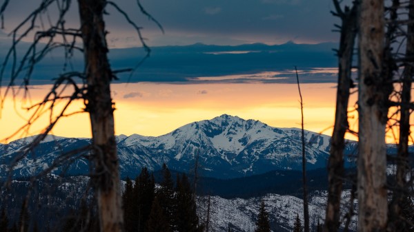 Mountains Snowy Forest Wallpaper