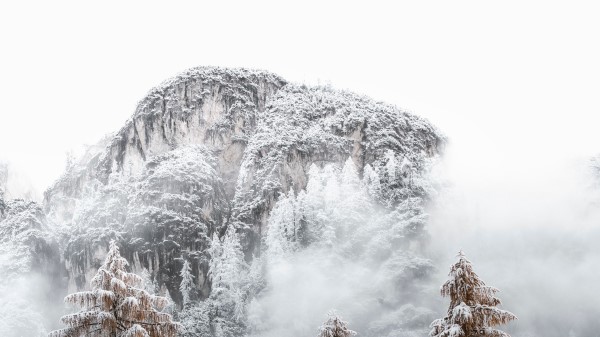 Mountains Spruce Snow Wallpaper