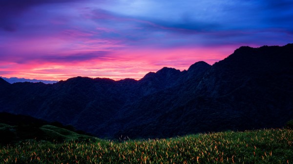 Mountains Sunset Flowers Wallpaper