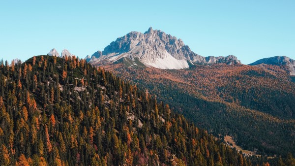 Mountains Trees Autumn Wallpaper