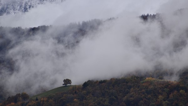 Mountains Trees Clouds Photo Wallpaper
