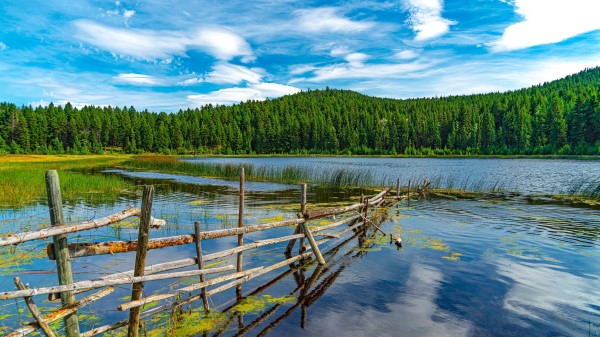 Mountains Trees Fence Wallpaper