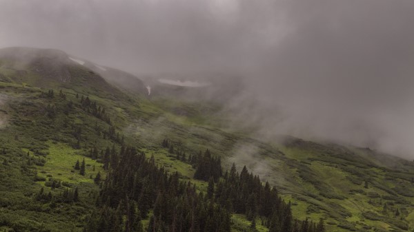 Mountains Trees Fog Image Wallpaper