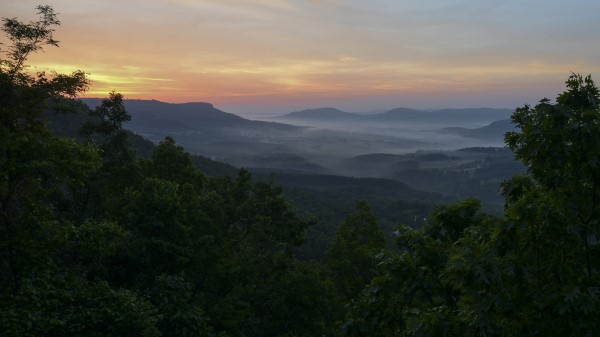 Mountains Trees Fog Picture Wallpaper