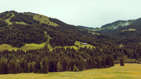 Mountains Trees Hill Wallpaper