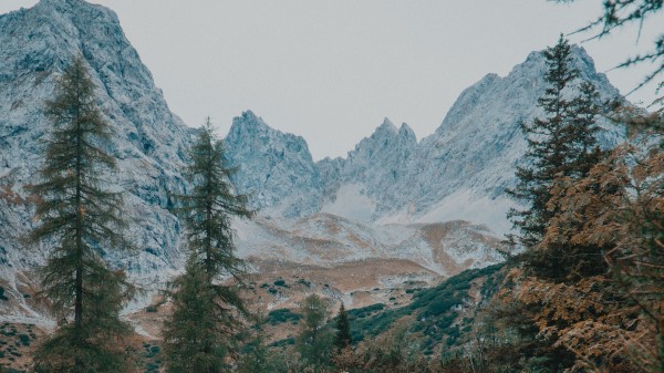 Mountains Trees Landscape Image Wallpaper