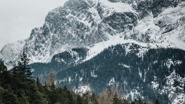 Mountains Trees Peaks Image Wallpaper