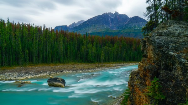 Mountains Trees River Wallpaper
