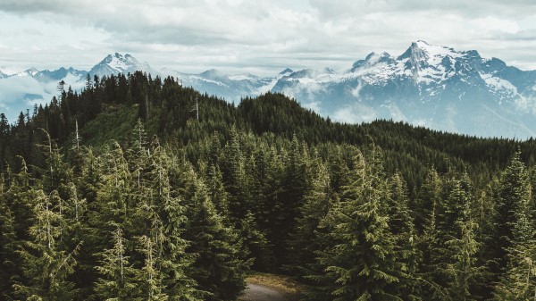 Mountains Trees Road Wallpaper