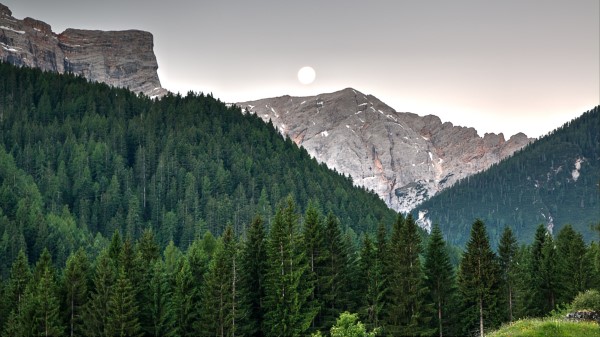 Mountains Trees Sky Image Wallpaper