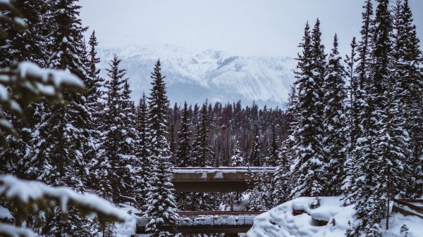 Mountains Trees Snow Image wallpaper