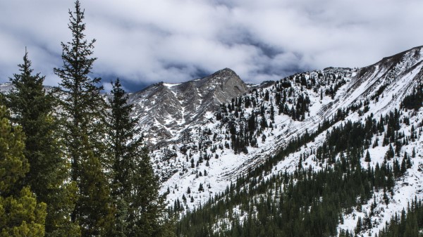 Mountains Trees Snow Img Wallpaper