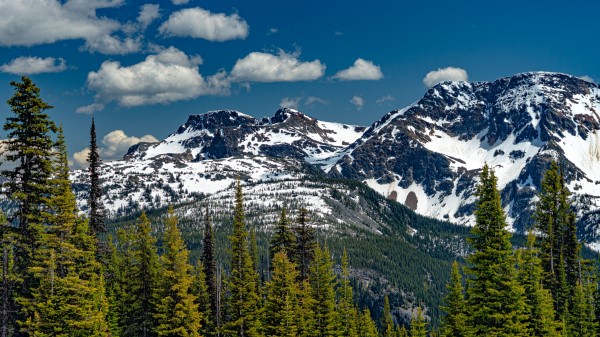 Mountains Trees Snow Pic Wallpaper