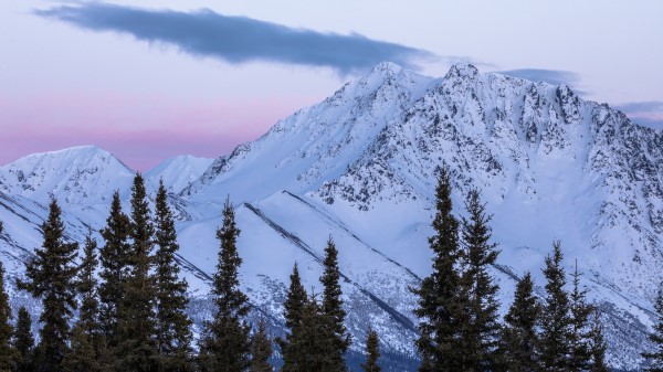 Mountains Trees Snow Picture Wallpaper