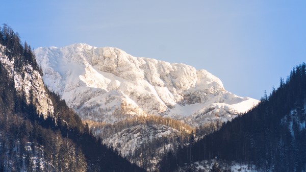 Mountains Trees Snow Wallpaper