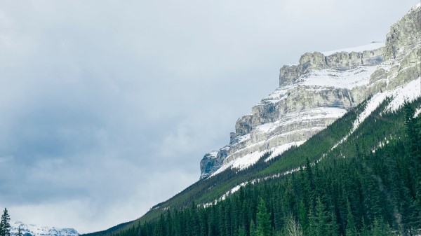 Mountains Trees Snow Top Wallpaper