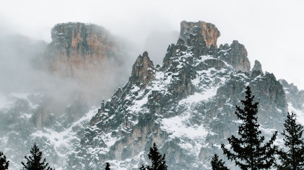 Mountains Trees Snow Wall Wallpaper