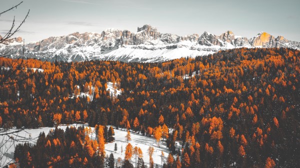 Mountains Trees Snow Winter Wallpaper