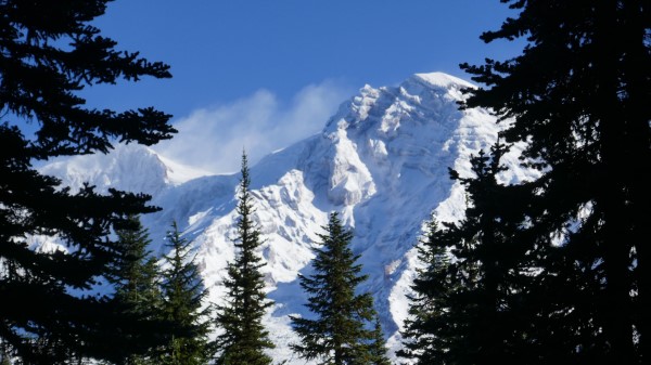 Mountains Trees Spruce Photo wallpaper