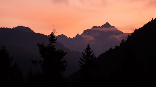 Mountains Trees Spruce Wallpaper