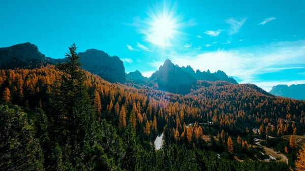 Mountains Trees Sun Wallpaper