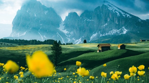 Mountains Vast Field wallpaper