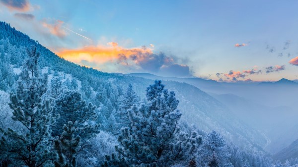 Mountains Winter Trees Wallpaper