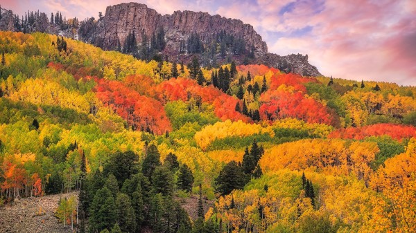 Nature Autumn Ultra Hd Wallpaper Wallpaper