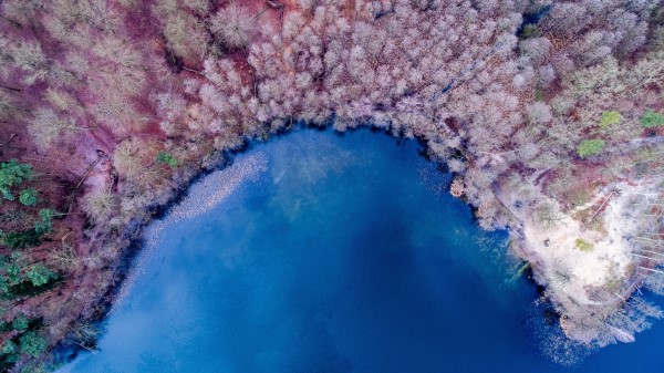 Nature Background Color Lake Forest Colorful Bk Wallpaper
