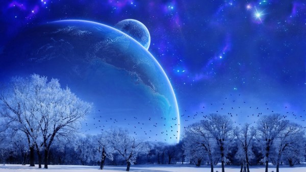 Nature Landscape Winter Sky Snow Full Moon Trees Birds Evening Wallpaper