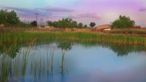 Nature Pond Bridge Roa Wallpaper