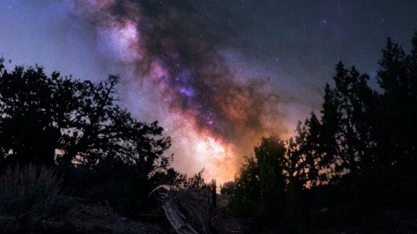 Nebula Space Trees Wallpaper