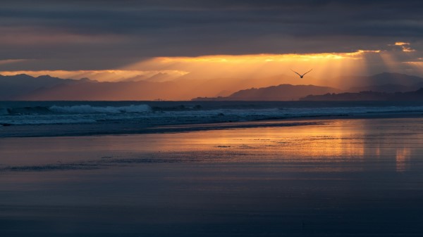 New Zealand Coast Beach Sea Ocean Evening Sunset Orange Wallpaper