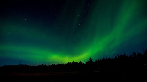 Northern Lights Night Trees Wallpaper