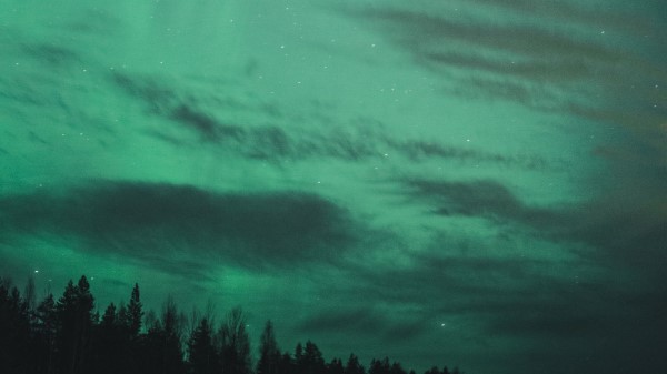 Northern Lights Starry Sky Trees Wallpaper