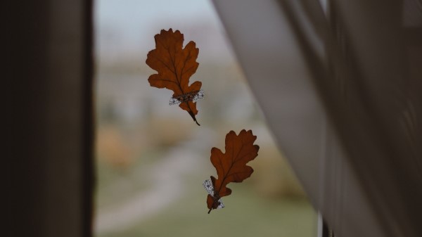 Oak Leaves Window Wallpaper