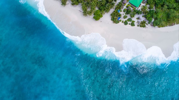 Ocean Aerial View Palm Trees Wallpaper